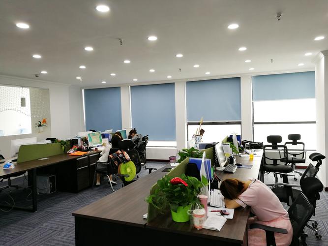 湖北哈沐德教育咨询 专业教育咨询服务的探索与实践