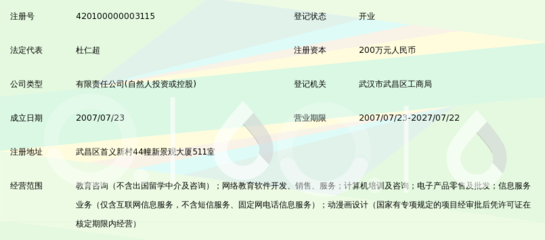 武汉新视野教育咨询